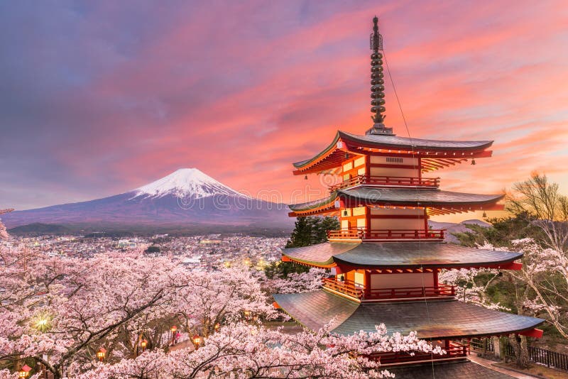 Chasing My Dream: Japan 🇯🇵🌸