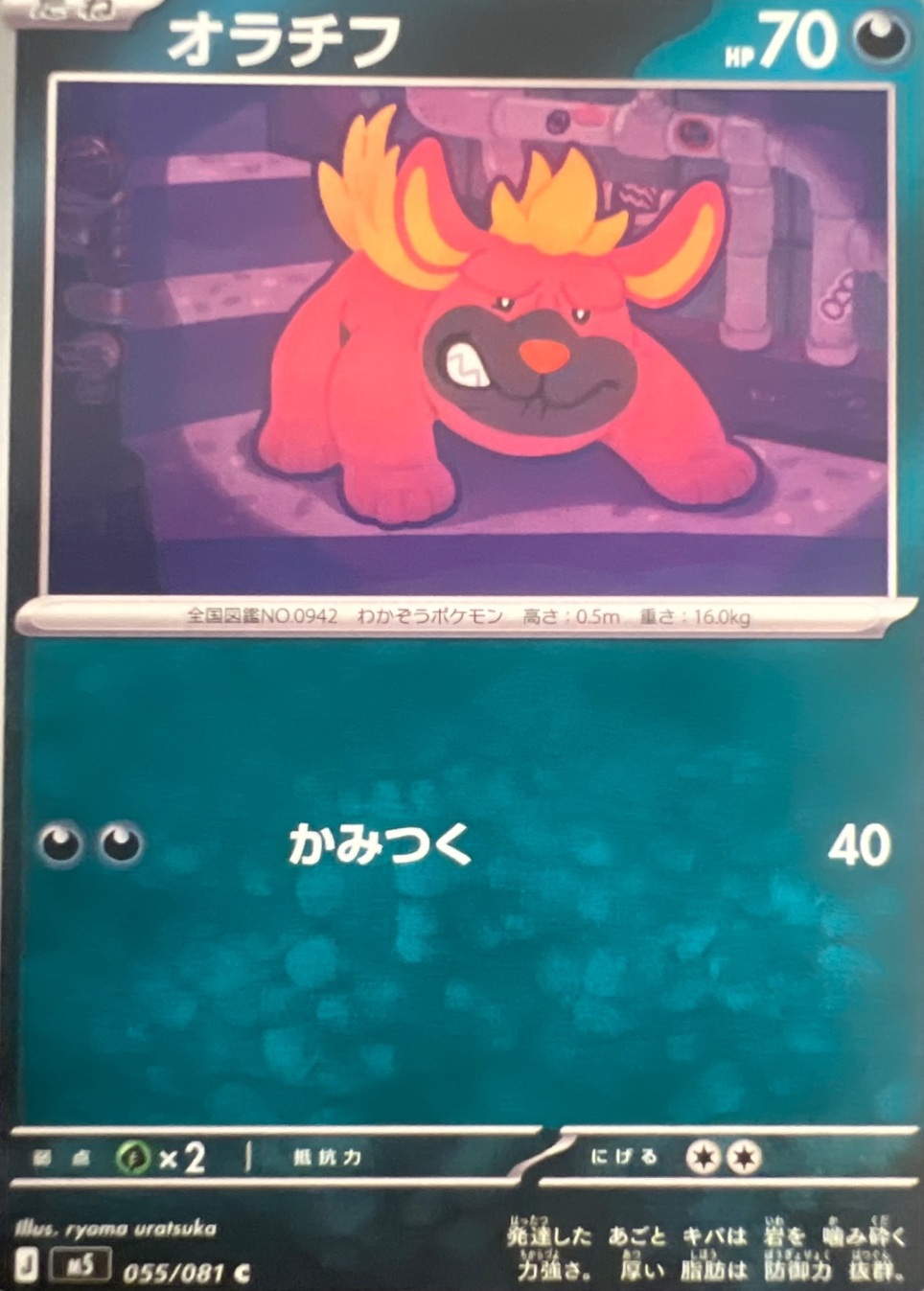 SAKURA EXCHANGE PTE LTDの登録画像