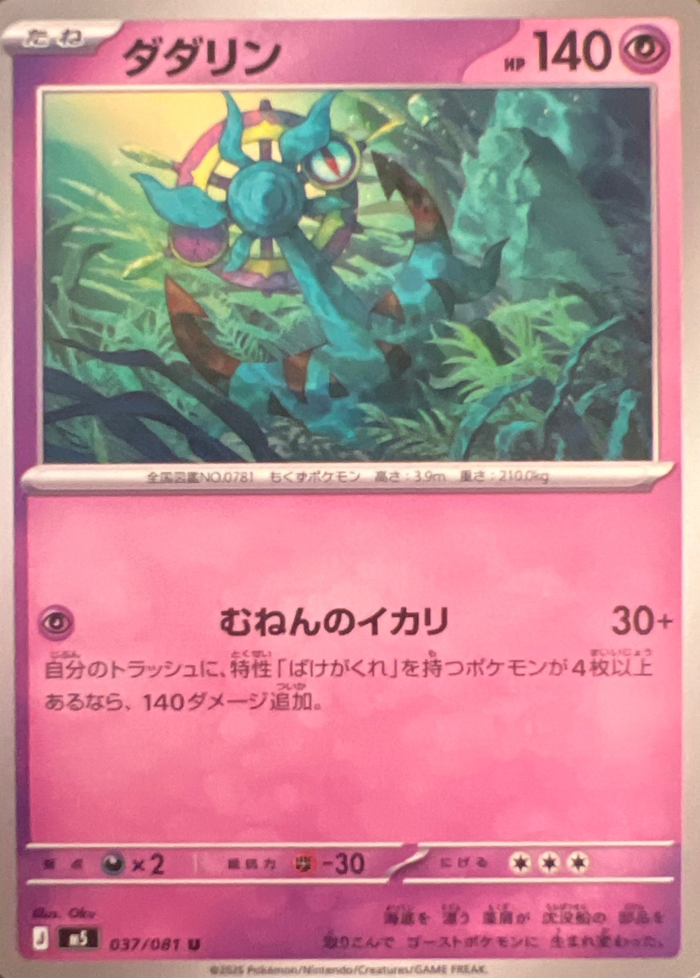 SAKURA EXCHANGE PTE LTDの登録画像