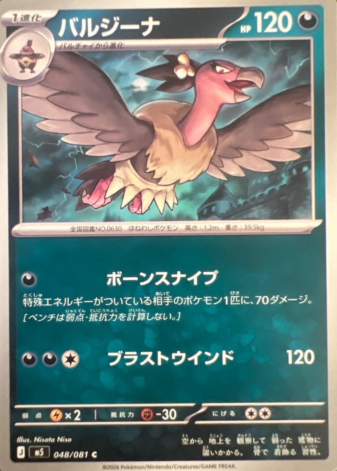 SAKURA EXCHANGE PTE LTDの登録画像