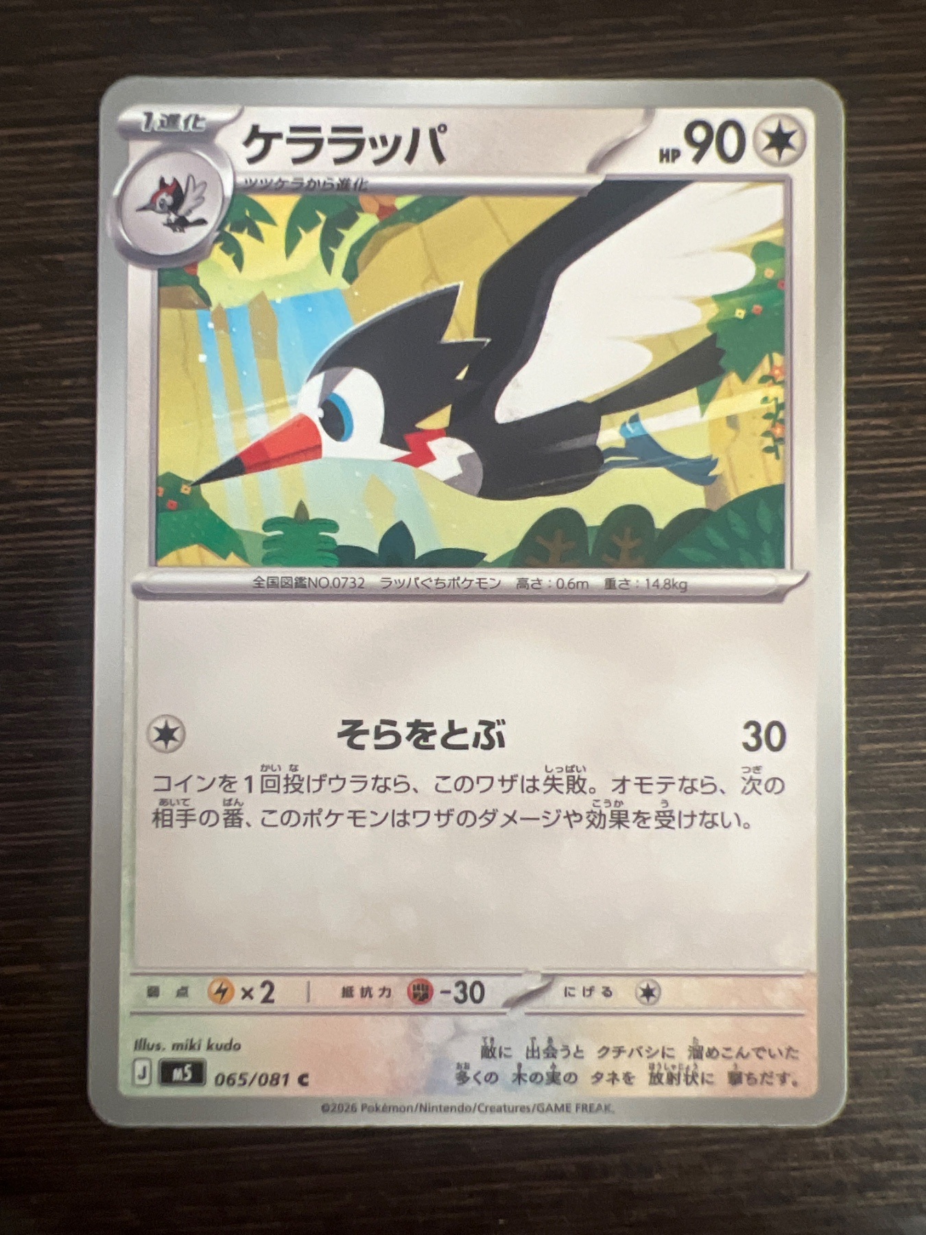 SAKURA EXCHANGE PTE LTDの登録画像