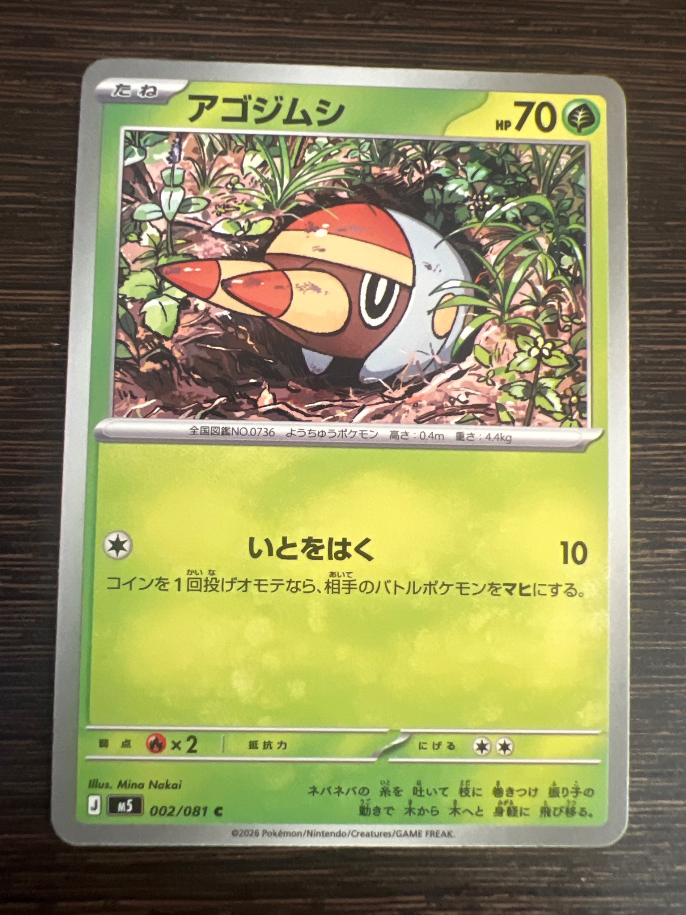 アゴジムシ