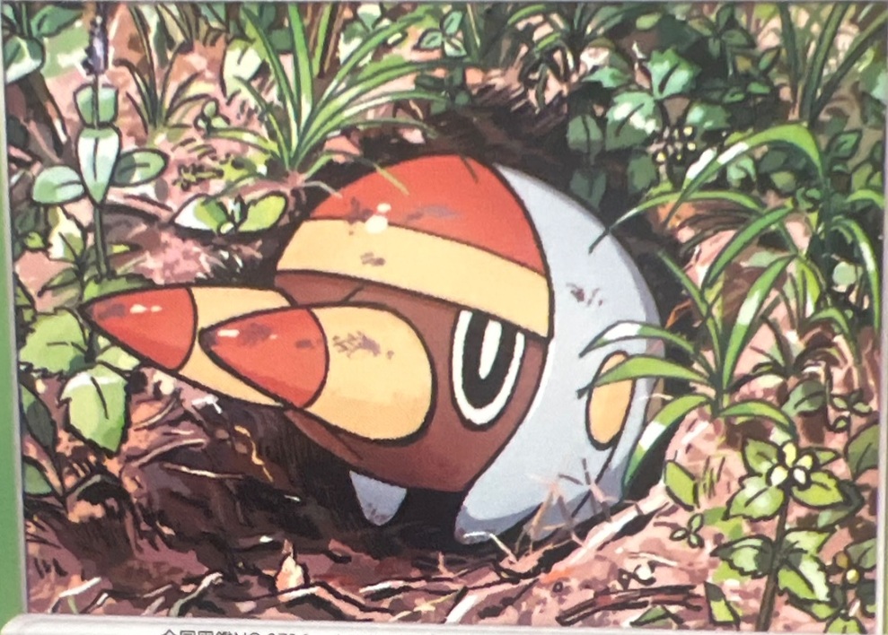 ヒポポタス
