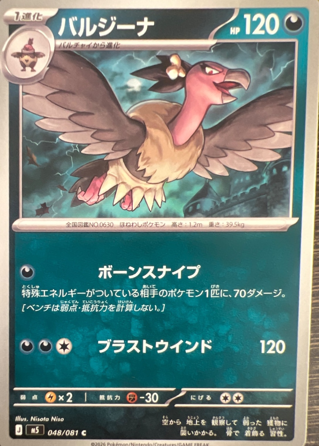 バルジーナ