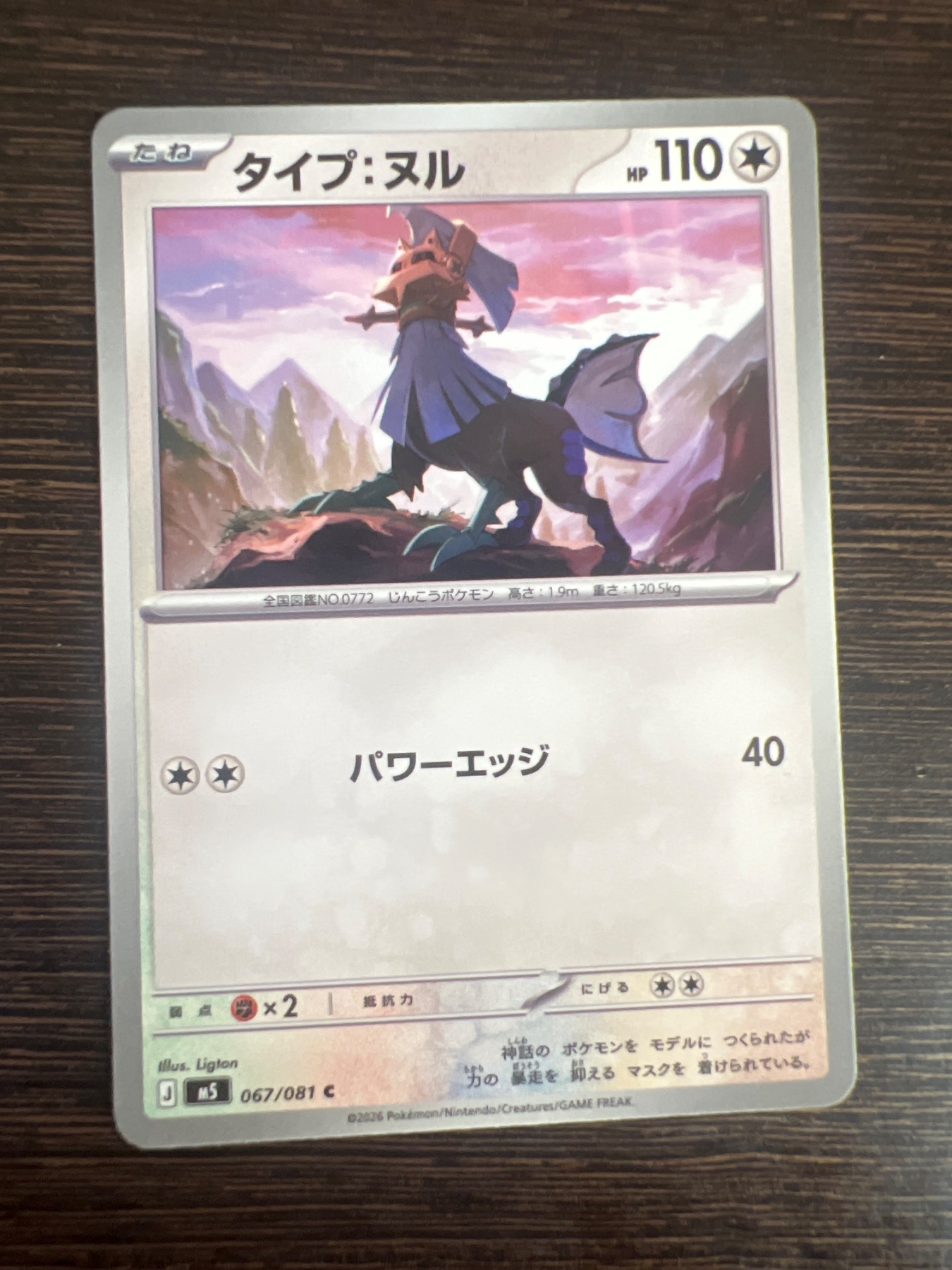 SAKURA EXCHANGE PTE LTDの登録画像
