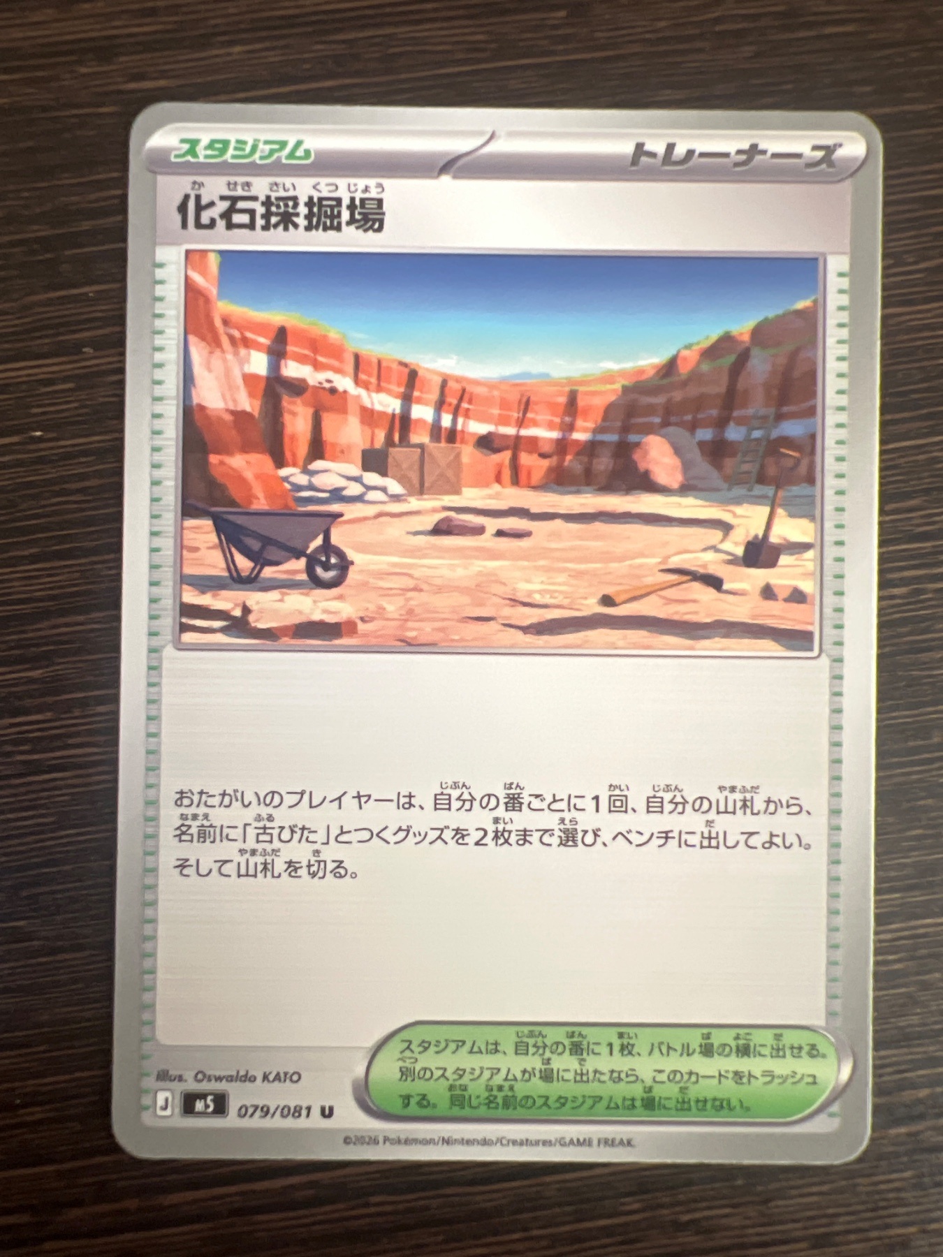 化石採掘場