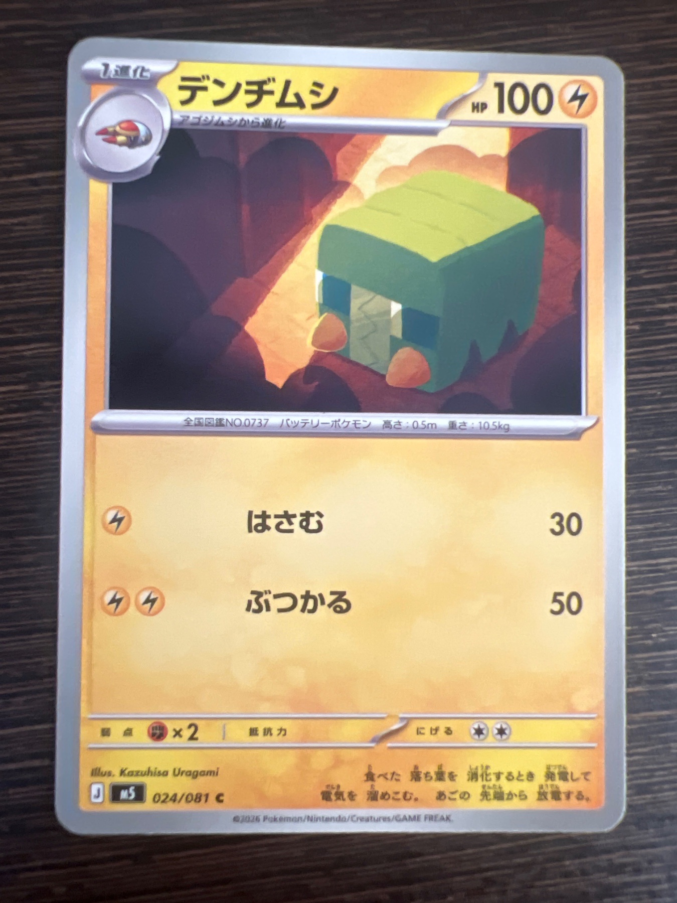 SAKURA EXCHANGE PTE LTDの登録画像