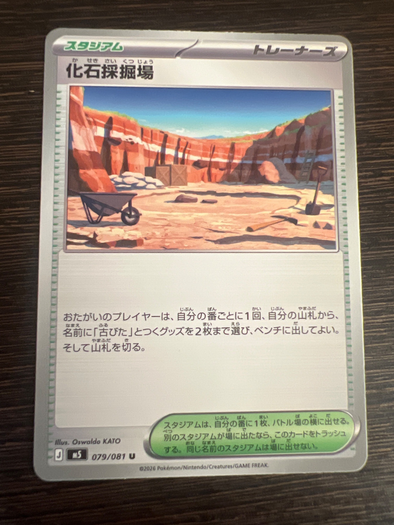 化石採掘場