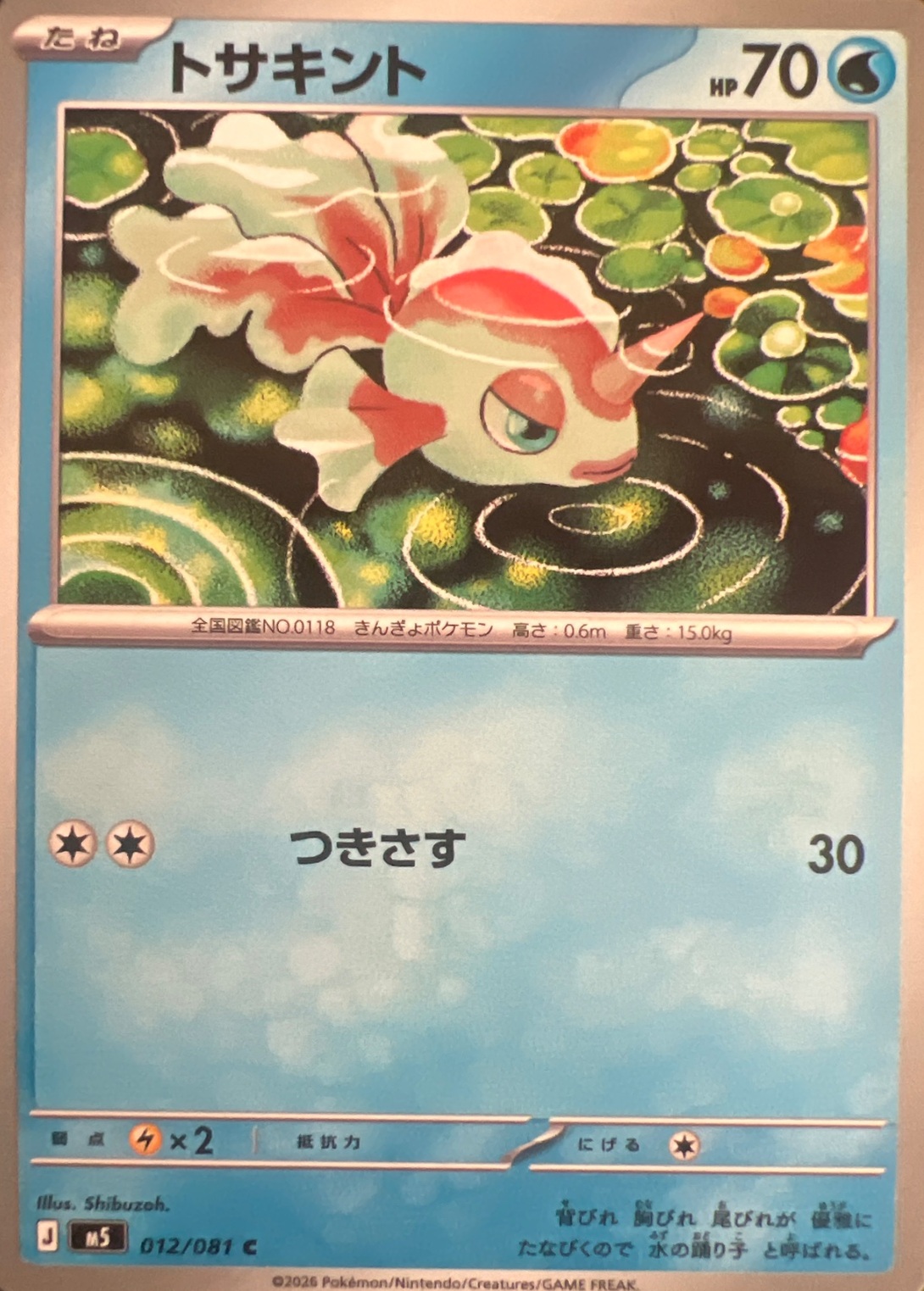 トサキント