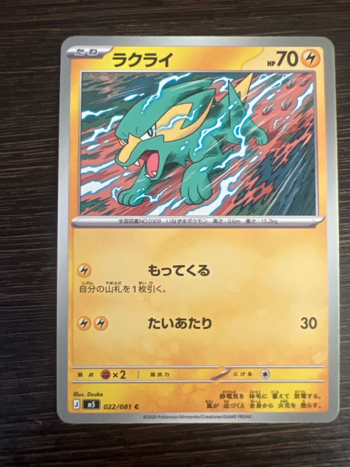 SAKURA EXCHANGE PTE LTDの登録画像