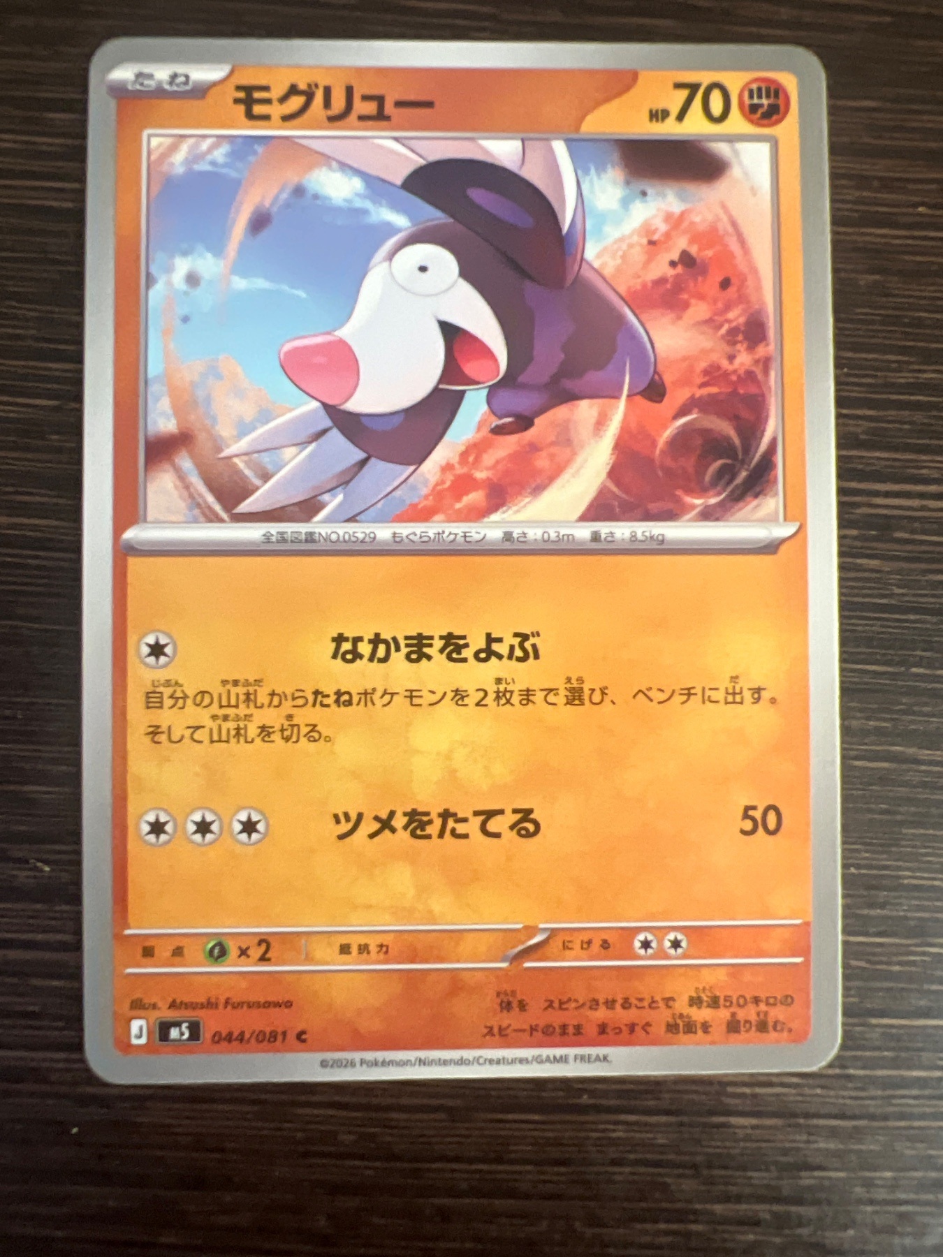 SAKURA EXCHANGE PTE LTDの登録画像
