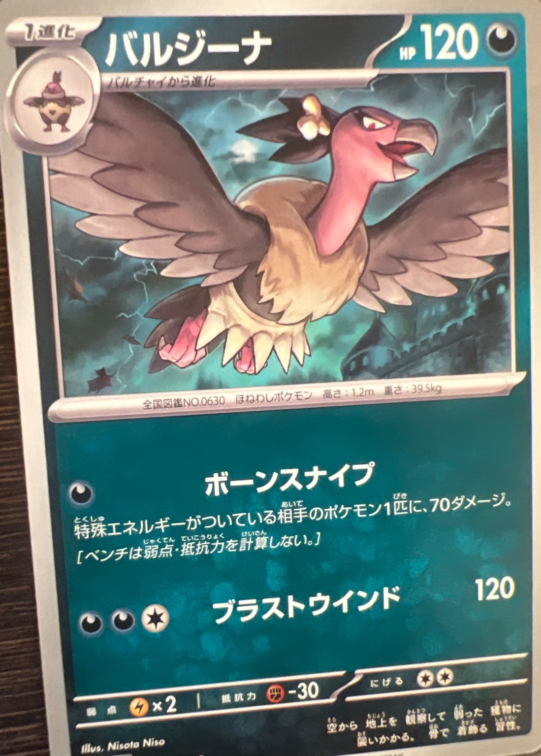 SAKURA EXCHANGE PTE LTDの登録画像