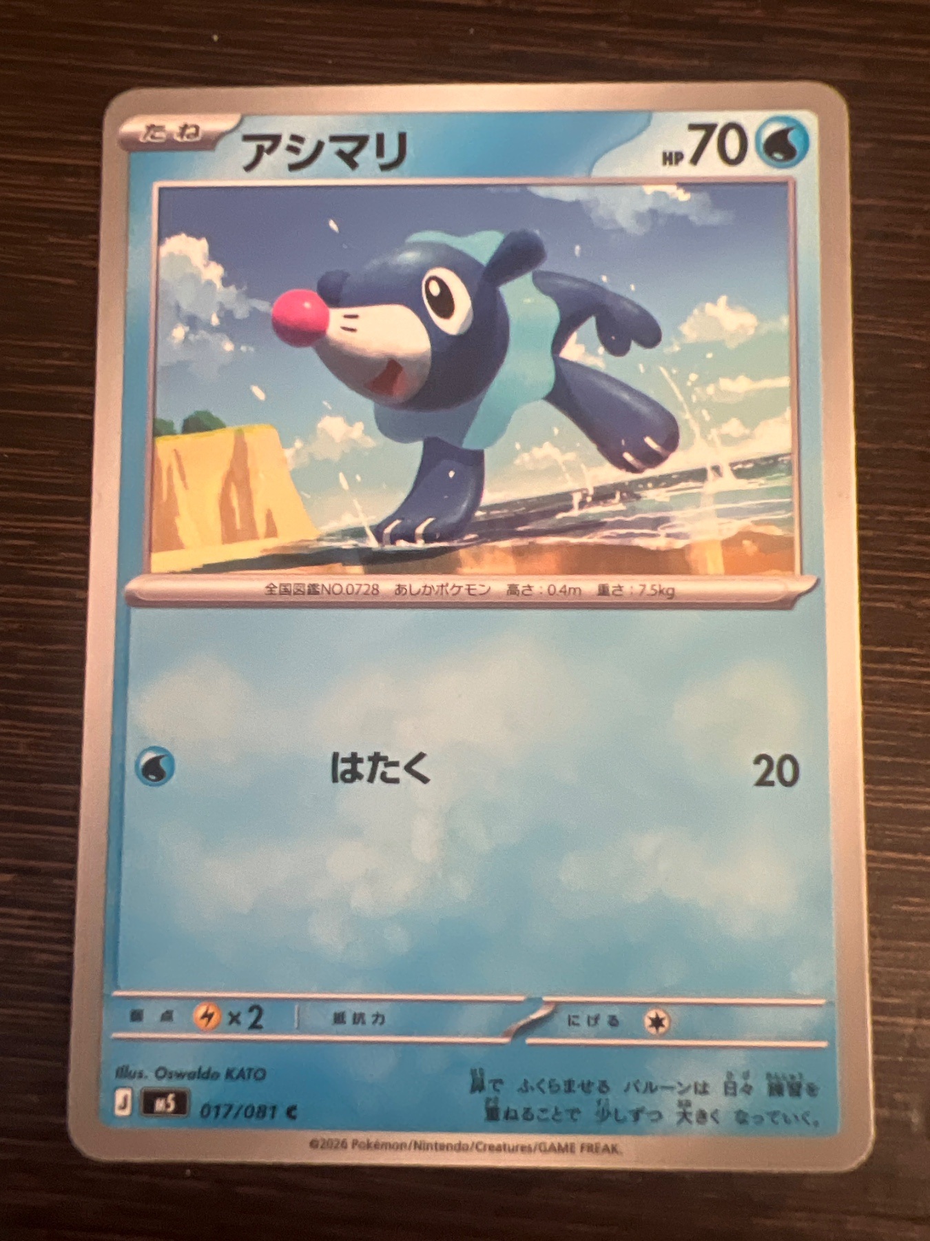 SAKURA EXCHANGE PTE LTDの登録画像