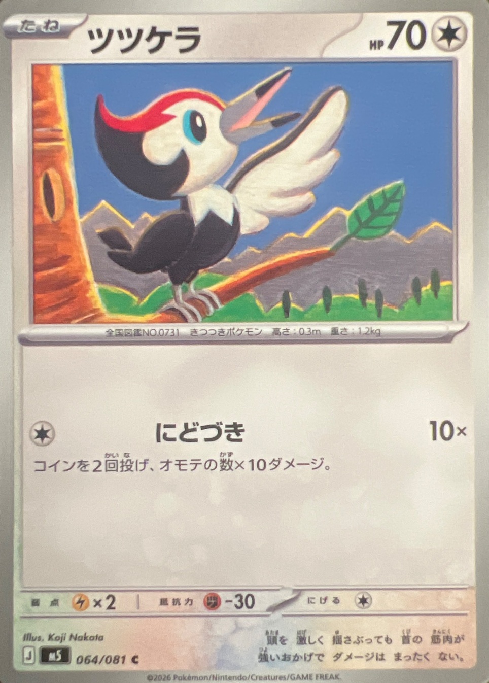 ツツケラ