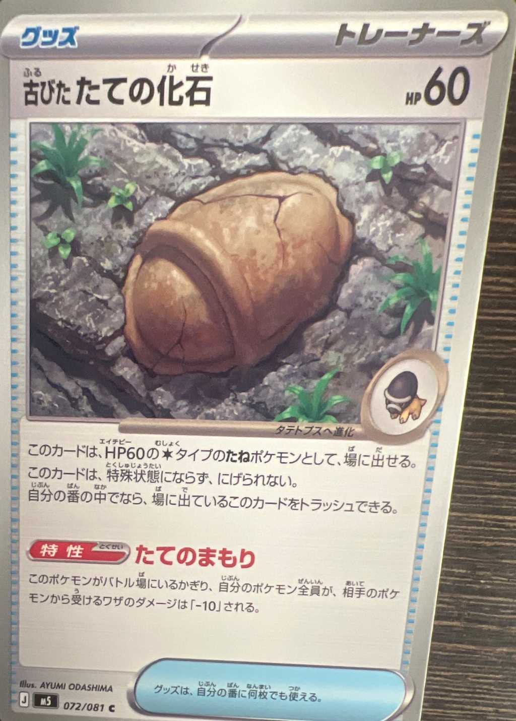 SAKURA EXCHANGE PTE LTDの登録画像